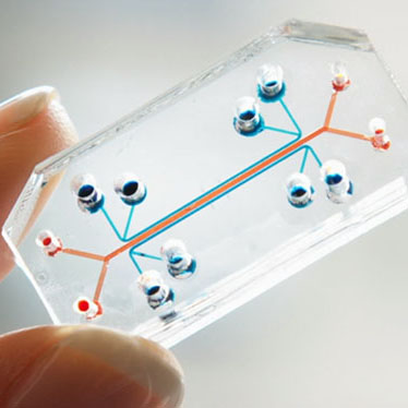 organs-on-a-chip-wyss-institute-5